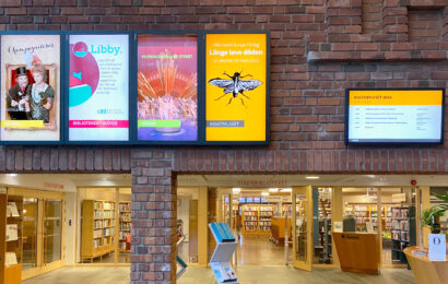 Offentlig sektor - public sector