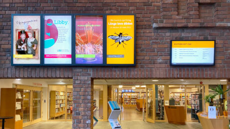 Offentlig sektor - public sector