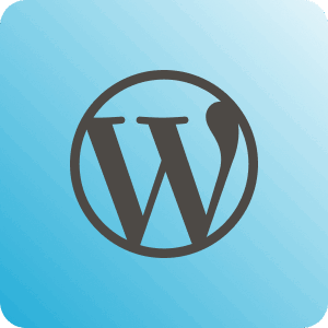 WordPress 300